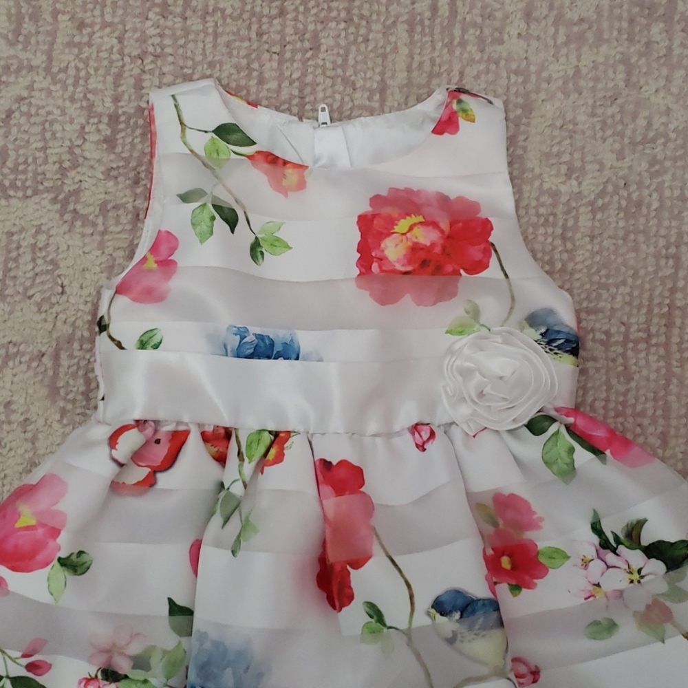 Dress - Picture 2 of 2